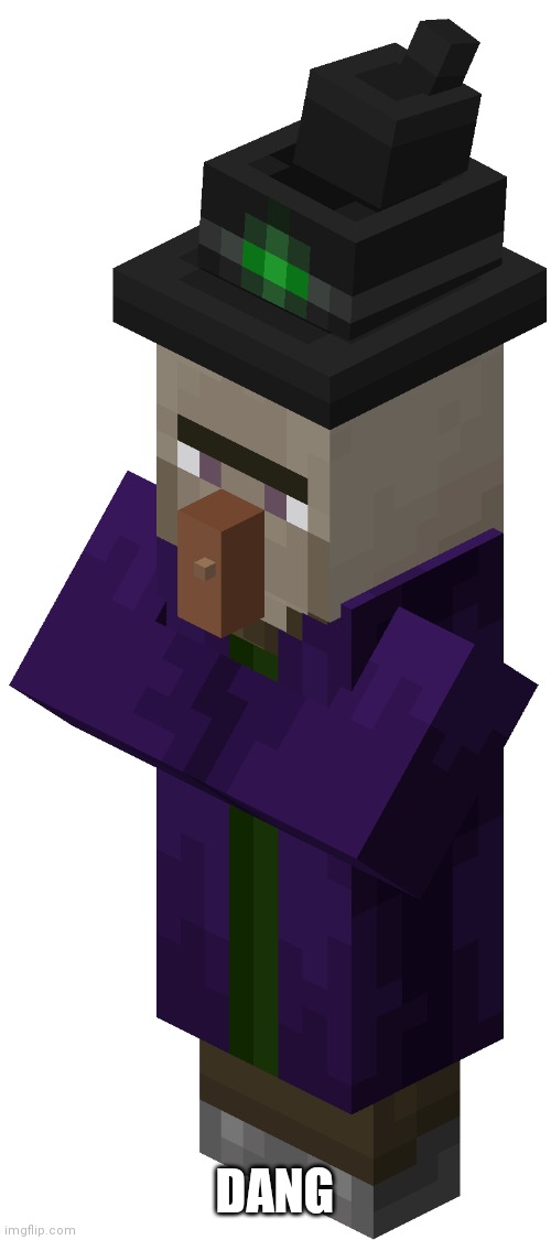 Minecraft Witch | DANG | image tagged in minecraft witch | made w/ Imgflip meme maker