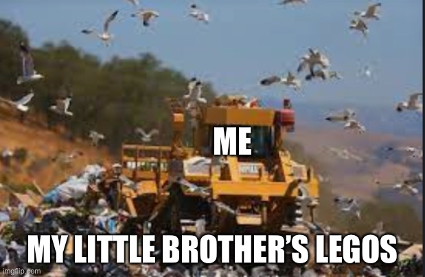 It’s like a minefield | ME; MY LITTLE BROTHER’S LEGOS | image tagged in seagull outbreak,stepping on a lego | made w/ Imgflip meme maker