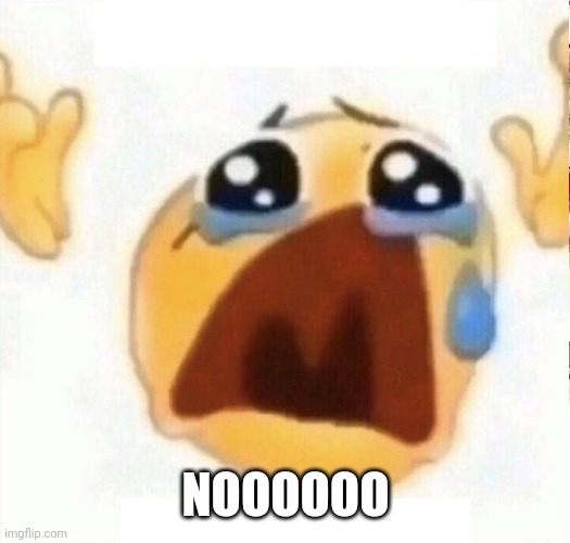 boo hooo | NOOOOOO | image tagged in boo hooo | made w/ Imgflip meme maker