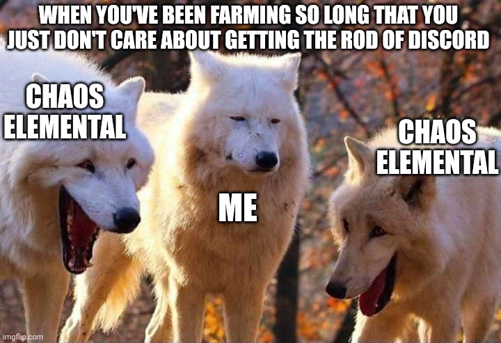 AAAAAAAAAAAAAAAAAAAAAAAAAAAAAAAAA | WHEN YOU'VE BEEN FARMING SO LONG THAT YOU JUST DON'T CARE ABOUT GETTING THE ROD OF DISCORD; CHAOS ELEMENTAL; CHAOS ELEMENTAL; ME | image tagged in laughing wolf | made w/ Imgflip meme maker