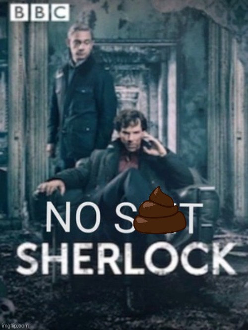 No shit Sherlock | image tagged in no shit sherlock | made w/ Imgflip meme maker
