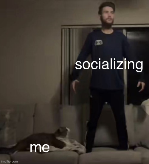 introverts forever! | socializing; me | image tagged in cat scared | made w/ Imgflip meme maker