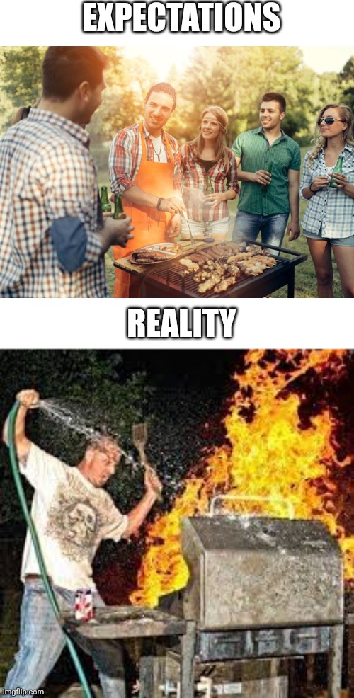 When I invite some friends at summer time | EXPECTATIONS; REALITY | image tagged in barbecue | made w/ Imgflip meme maker