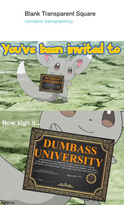 who uses this? | image tagged in you've been invited to dumbass university,stupid,random tag i decided to put | made w/ Imgflip meme maker