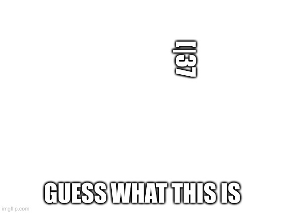 Blank White Template | [|37; GUESS WHAT THIS IS | image tagged in blank white template | made w/ Imgflip meme maker