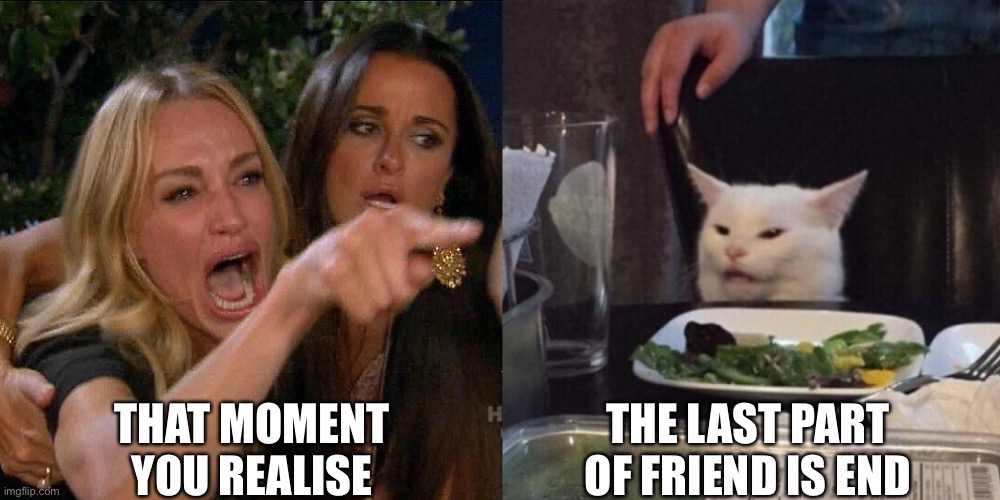 Woman yelling at cat | THAT MOMENT YOU REALISE; THE LAST PART OF FRIEND IS END | image tagged in woman yelling at cat | made w/ Imgflip meme maker