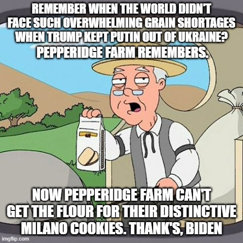 Try spinning THIS one, Leftards. Now you can't have your whole grains | REMEMBER WHEN THE WORLD DIDN'T FACE SUCH OVERWHELMING GRAIN SHORTAGES WHEN TRUMP KEPT PUTIN OUT OF UKRAINE? PEPPERIDGE FARM REMEMBERS. NOW PEPPERIDGE FARM CAN'T GET THE FLOUR FOR THEIR DISTINCTIVE MILANO COOKIES. THANK'S, BIDEN | image tagged in memes,pepperidge farm remembers,joe biden,biden | made w/ Imgflip meme maker
