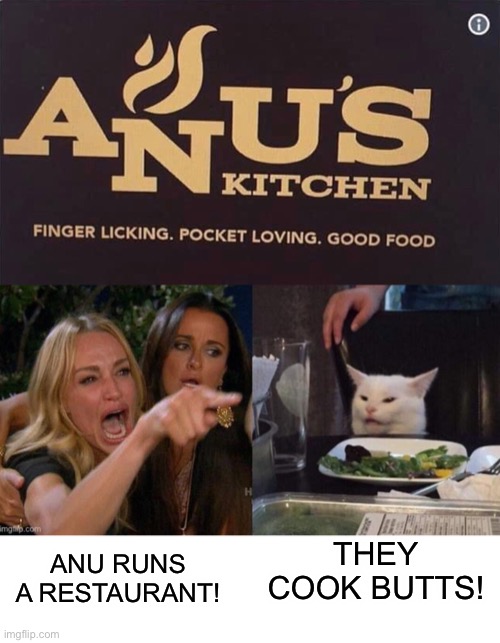 Return of an old template |  THEY COOK BUTTS! ANU RUNS A RESTAURANT! | image tagged in woman yelling at cat,memes,cat | made w/ Imgflip meme maker