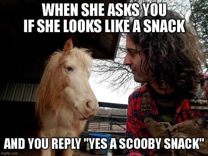 WHEN SHE ASKS YOU IF SHE LOOKS LIKE A SNACK; AND YOU REPLY "YES A SCOOBY SNACK" | image tagged in memes | made w/ Imgflip meme maker