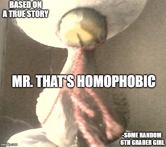 RAnDoM sToRY | BASED ON A TRUE STORY; MR. THAT'S HOMOPHOBIC; -SOME RANDOM 
6TH GRADER GIRL | image tagged in wierd | made w/ Imgflip meme maker
