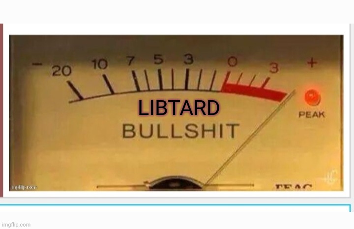 LIBTARD | made w/ Imgflip meme maker