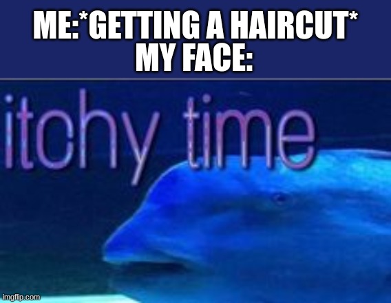 ME:*GETTING A HAIRCUT*; MY FACE: | made w/ Imgflip meme maker