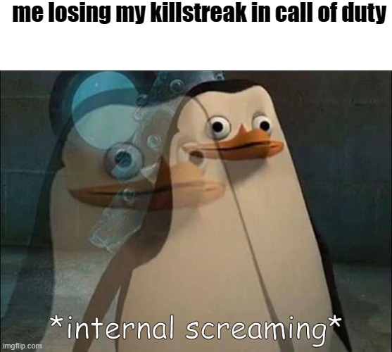 Me all the time in call of duty | me losing my killstreak in call of duty | image tagged in private internal screaming | made w/ Imgflip meme maker