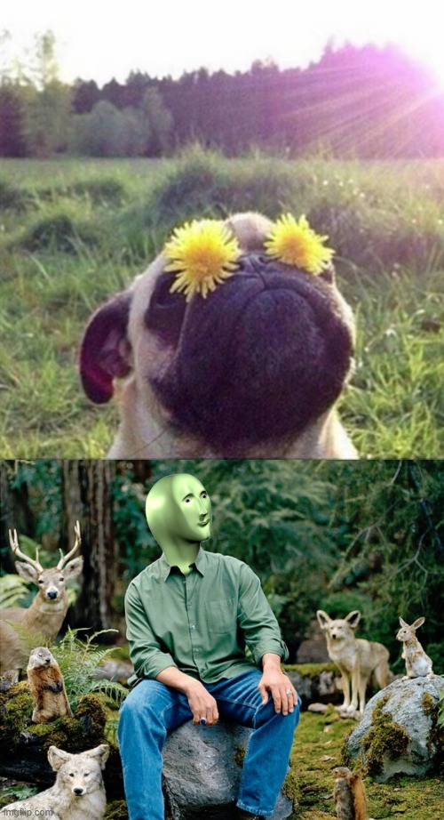 image tagged in ekolojist | made w/ Imgflip meme maker