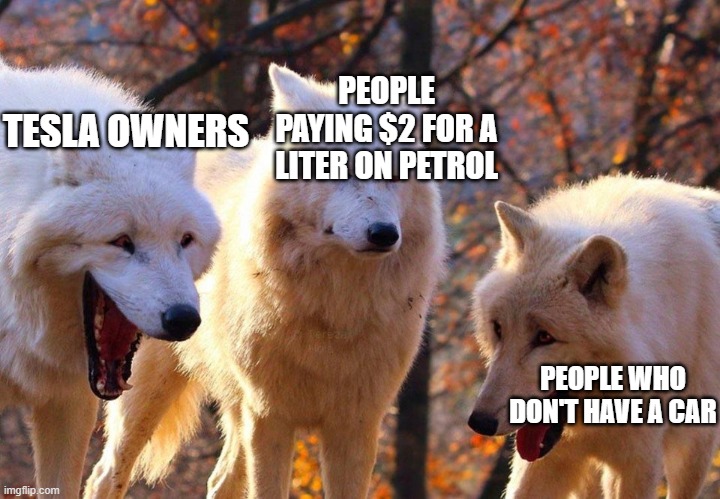 petrol prices tho |  PEOPLE PAYING $2 FOR A LITER ON PETROL; TESLA OWNERS; PEOPLE WHO DON'T HAVE A CAR | image tagged in lol | made w/ Imgflip meme maker