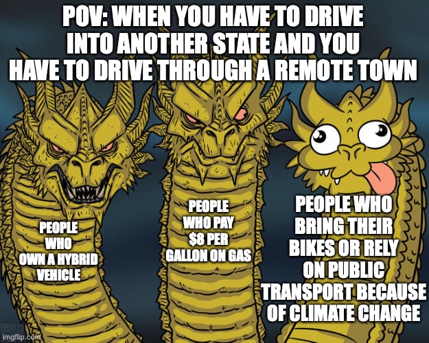 Three-headed Dragon | POV: WHEN YOU HAVE TO DRIVE INTO ANOTHER STATE AND YOU HAVE TO DRIVE THROUGH A REMOTE TOWN PEOPLE WHO OWN A HYBRID VEHICLE PEOPLE WHO PAY $8 | image tagged in three-headed dragon | made w/ Imgflip meme maker