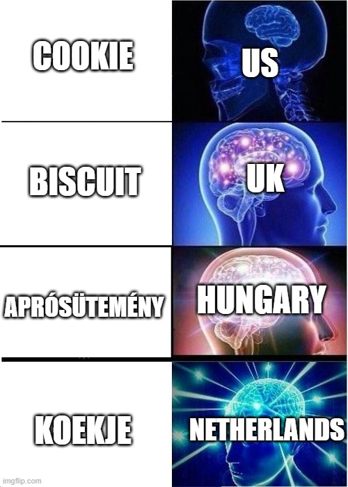the original word for cookie is koekje derived from the dutch language | COOKIE; US; UK; BISCUIT; HUNGARY; APRÓSÜTEMÉNY; NETHERLANDS; KOEKJE | image tagged in memes,expanding brain | made w/ Imgflip meme maker