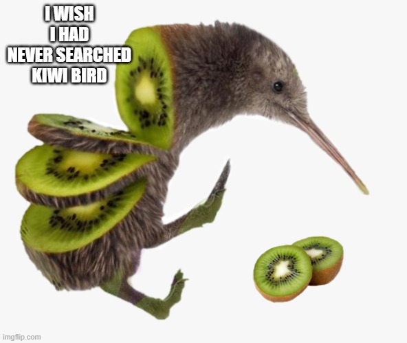 kiwi birds are kiwis in disguise | I WISH I HAD NEVER SEARCHED KIWI BIRD | image tagged in eating | made w/ Imgflip meme maker