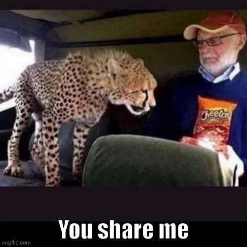 My hungry Buddy | image tagged in hindry,cat,cheetos | made w/ Imgflip meme maker