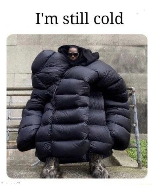 To cold | image tagged in bundled,coat,cold | made w/ Imgflip meme maker