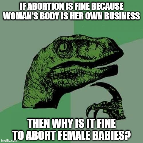 Conundrum - She Never Gets a Chance |  IF ABORTION IS FINE BECAUSE WOMAN'S BODY IS HER OWN BUSINESS; THEN WHY IS IT FINE TO ABORT FEMALE BABIES? | image tagged in memes,philosoraptor | made w/ Imgflip meme maker