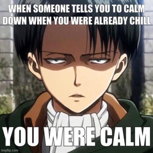 you were calm | image tagged in memes | made w/ Imgflip meme maker