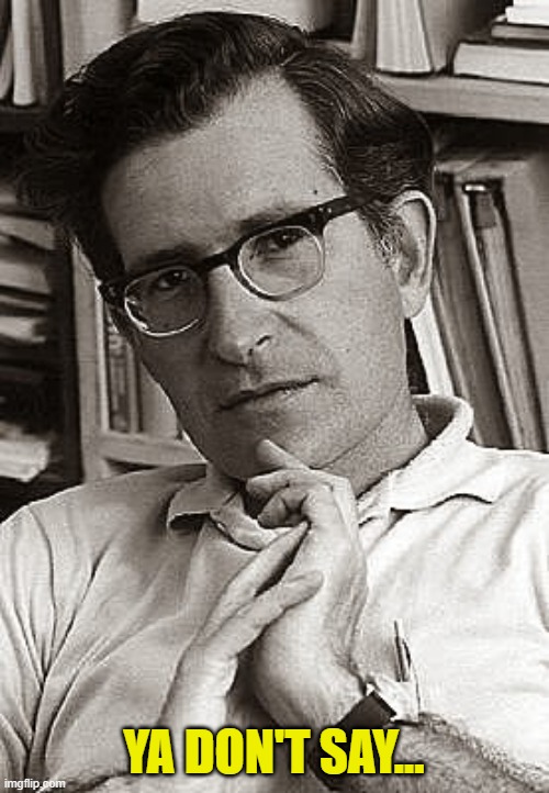 Noam Chomsky - 1970 | YA DON'T SAY... | image tagged in noam chomsky - 1970 | made w/ Imgflip meme maker