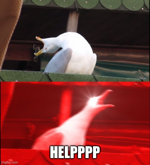 Screaming bird | HELPPPP | image tagged in screaming bird | made w/ Imgflip meme maker