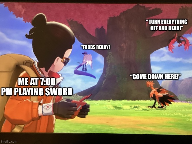 LET ME PLAY | “ TURN EVERYTHING OFF AND READ!”; “FOODS READY! “COME DOWN HERE!”; ME AT 7:00 PM PLAYING SWORD | image tagged in galarian bird trio staring at player | made w/ Imgflip meme maker