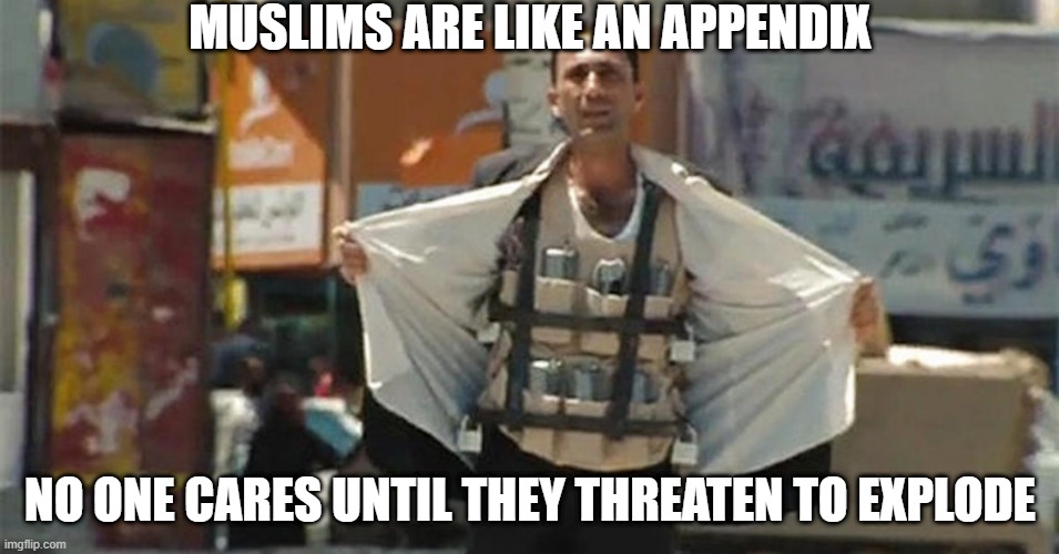 BOOM | MUSLIMS ARE LIKE AN APPENDIX; NO ONE CARES UNTIL THEY THREATEN TO EXPLODE | image tagged in muslim suicide bomber | made w/ Imgflip meme maker