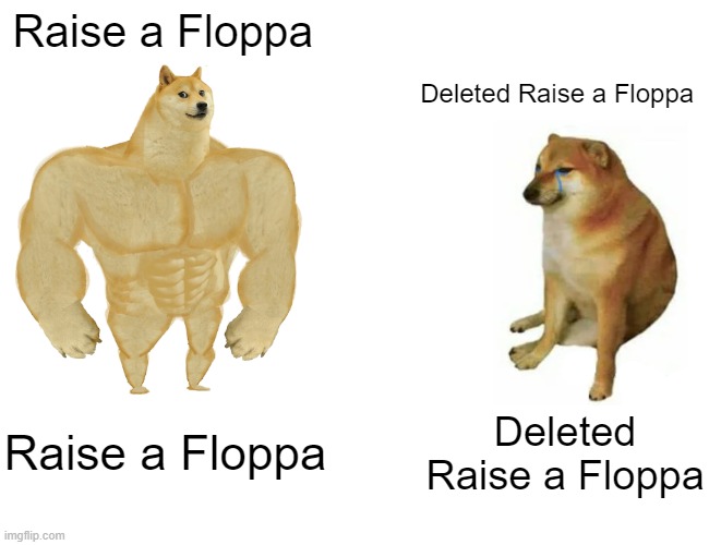Doge o floppa? - Meme by Marcorealmadrid :) Memedroid
