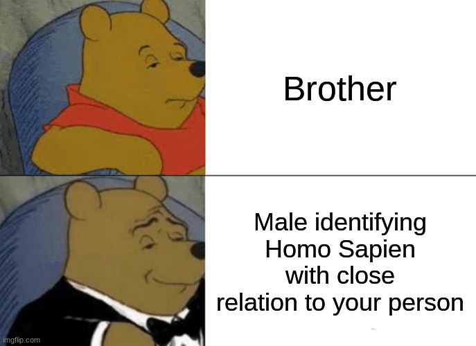 Tuxedo Winnie The Pooh | Brother; Male identifying Homo Sapien with close relation to your person | image tagged in memes,tuxedo winnie the pooh | made w/ Imgflip meme maker