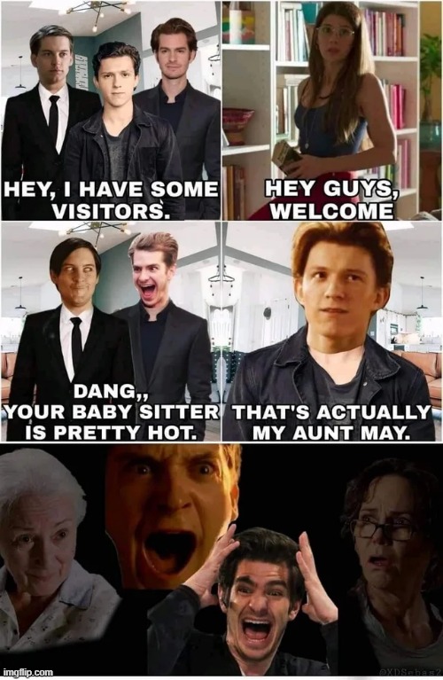 I Mean, Clearly Marvel Studios, You Know What You Did | image tagged in aunt may,spiderman | made w/ Imgflip meme maker