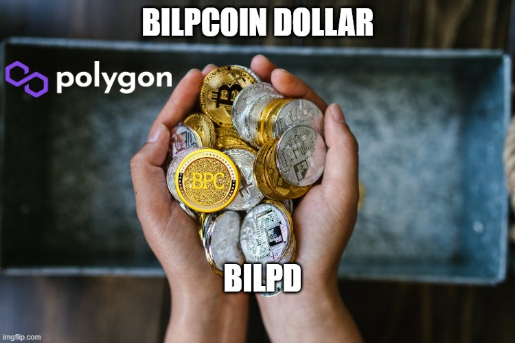  BILPCOIN DOLLAR; BILPD | made w/ Imgflip meme maker