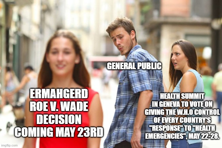 Distract Public with THIS so they don't look at THAT | GENERAL PUBLIC; ERMAHGERD ROE V. WADE DECISION COMING MAY 23RD; HEALTH SUMMIT IN GENEVA TO VOTE ON GIVING THE W.H.O CONTROL OF EVERY COUNTRY'S "RESPONSE" TO "HEALTH EMERGENCIES", MAY 22-28. | image tagged in memes,distracted boyfriend | made w/ Imgflip meme maker