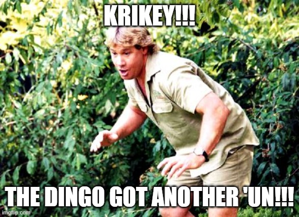 Crocodile Hunter Steve Irwin | KRIKEY!!! THE DINGO GOT ANOTHER 'UN!!! | image tagged in crocodile hunter steve irwin | made w/ Imgflip meme maker