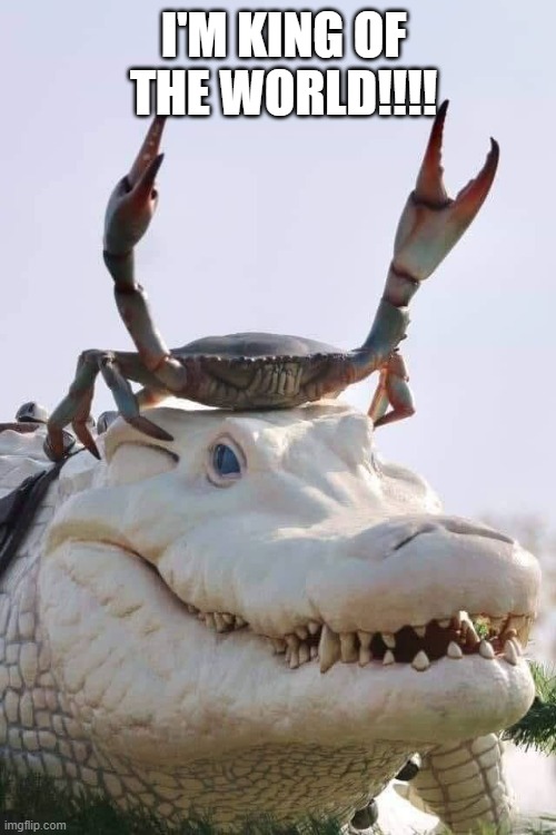  I'M KING OF THE WORLD!!!! | image tagged in crab on crocodile | made w/ Imgflip meme maker