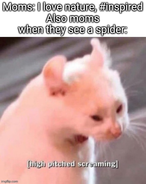 Smacks with flip-flop |  Moms: I love nature, #inspired
Also moms when they see a spider: | image tagged in memes,funny,funny memes,oh wow are you actually reading these tags,cats,funny cats | made w/ Imgflip meme maker