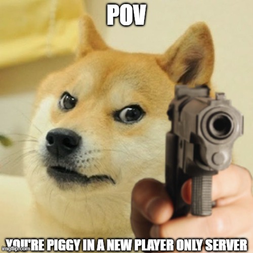 Doge holding a gun | POV; YOU'RE PIGGY IN A NEW PLAYER ONLY SERVER | image tagged in doge holding a gun | made w/ Imgflip meme maker