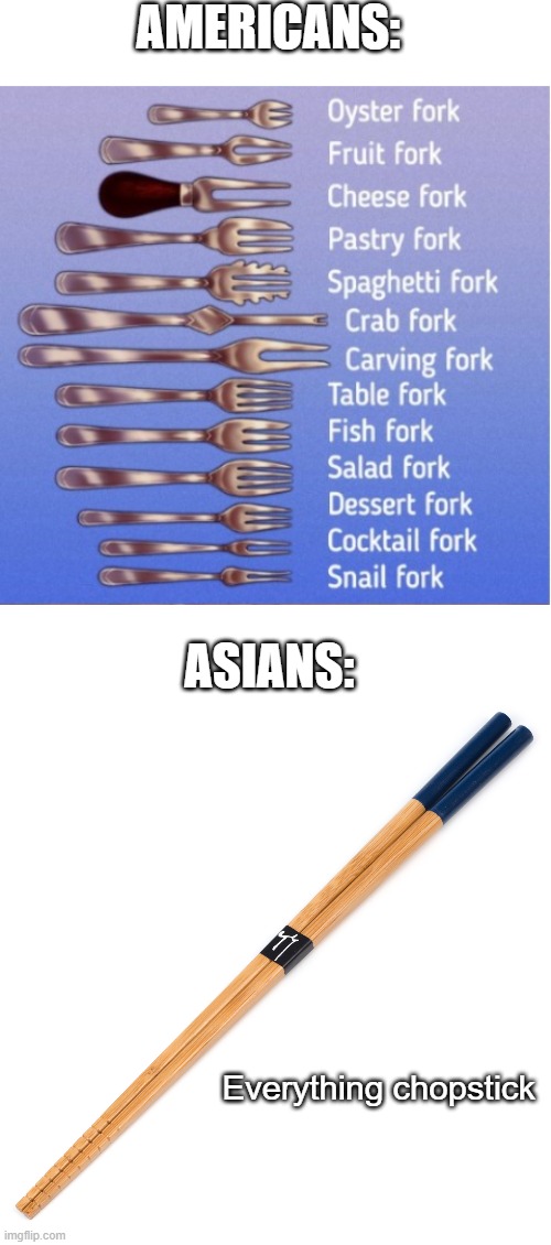 American vs Asians | AMERICANS:; ASIANS:; Everything chopstick | image tagged in blank white template,asian,american,fork,food | made w/ Imgflip meme maker