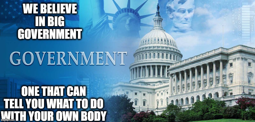 Maga = facism | WE BELIEVE IN BIG GOVERNMENT; ONE THAT CAN TELL YOU WHAT TO DO WITH YOUR OWN BODY | image tagged in government meme,freedom,constitution,memes,politics,conservative hypocrisy | made w/ Imgflip meme maker