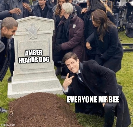 Grant Gustin over grave |  AMBER HEARDS DOG; EVERYONE MF BEE | image tagged in grant gustin over grave | made w/ Imgflip meme maker