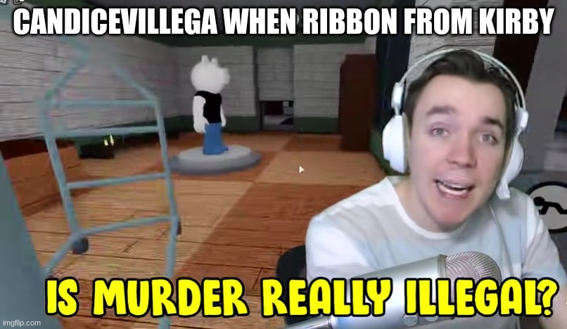 thanks to dan for letting me know about them in the first place | CANDICEVILLEGA WHEN RIBBON FROM KIRBY | made w/ Imgflip meme maker