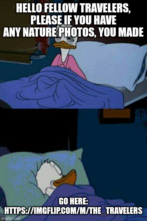 Please follow | HELLO FELLOW TRAVELERS, PLEASE IF YOU HAVE ANY NATURE PHOTOS, YOU MADE; GO HERE: HTTPS://IMGFLIP.COM/M/THE_TRAVELERS | image tagged in sleepy donald duck in bed | made w/ Imgflip meme maker