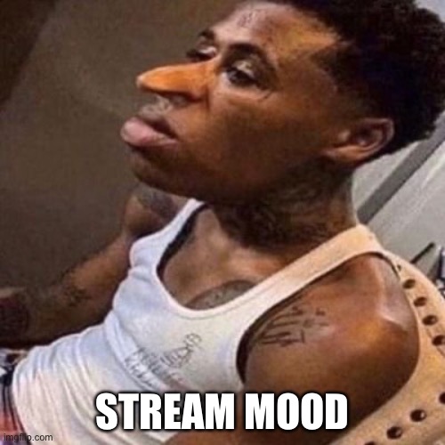 quandale dingle | STREAM MOOD | image tagged in quandale dingle | made w/ Imgflip meme maker