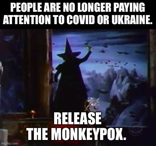 Distract, distract, distract | PEOPLE ARE NO LONGER PAYING ATTENTION TO COVID OR UKRAINE. RELEASE THE MONKEYPOX. | image tagged in wicked witch flying monkeys | made w/ Imgflip meme maker