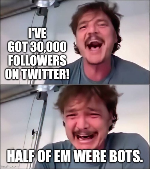 A bunch of fake followers. | I'VE GOT 30,000 FOLLOWERS ON TWITTER! HALF OF EM WERE BOTS. | image tagged in pedro pascal | made w/ Imgflip meme maker