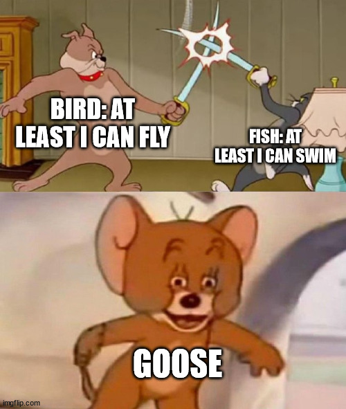Tom and Jerry swordfight | BIRD: AT LEAST I CAN FLY; FISH: AT LEAST I CAN SWIM; GOOSE | image tagged in tom and jerry swordfight | made w/ Imgflip meme maker
