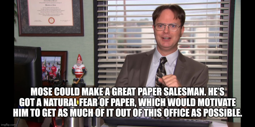 Dwight Schrute | MOSE COULD MAKE A GREAT PAPER SALESMAN. HE’S GOT A NATURAL FEAR OF PAPER, WHICH WOULD MOTIVATE HIM TO GET AS MUCH OF IT OUT OF THIS OFFICE AS POSSIBLE. | image tagged in dwight schrute,the office | made w/ Imgflip meme maker