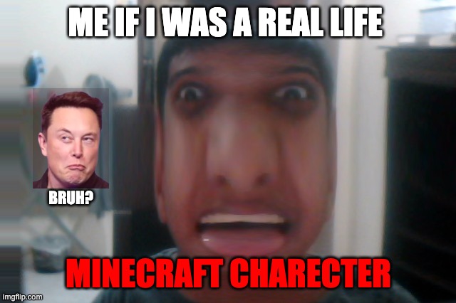 Ha | ME IF I WAS A REAL LIFE; BRUH? MINECRAFT CHARECTER | image tagged in the meme lord | made w/ Imgflip meme maker